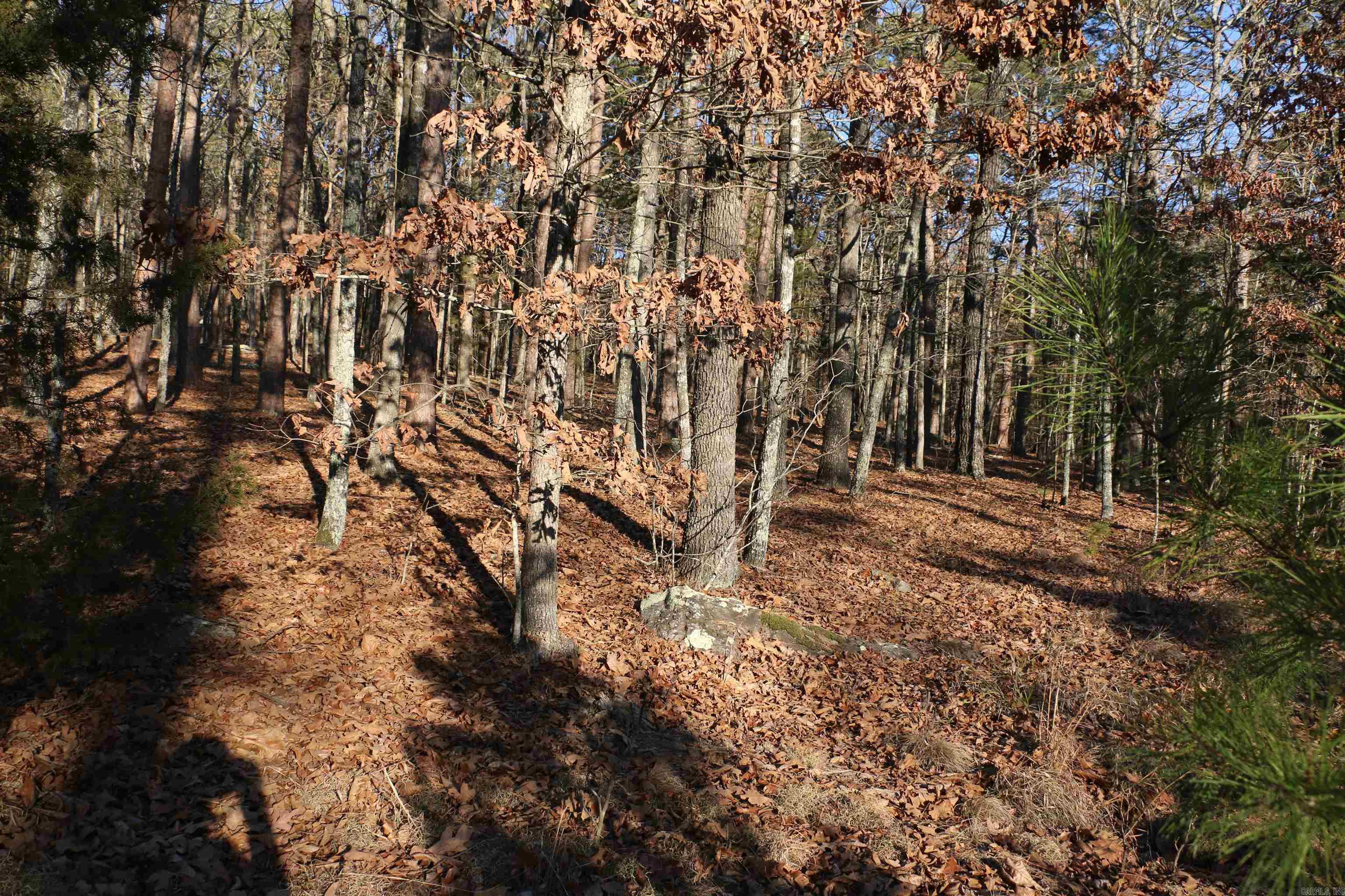 Lot 80 Lynn Creek Drive