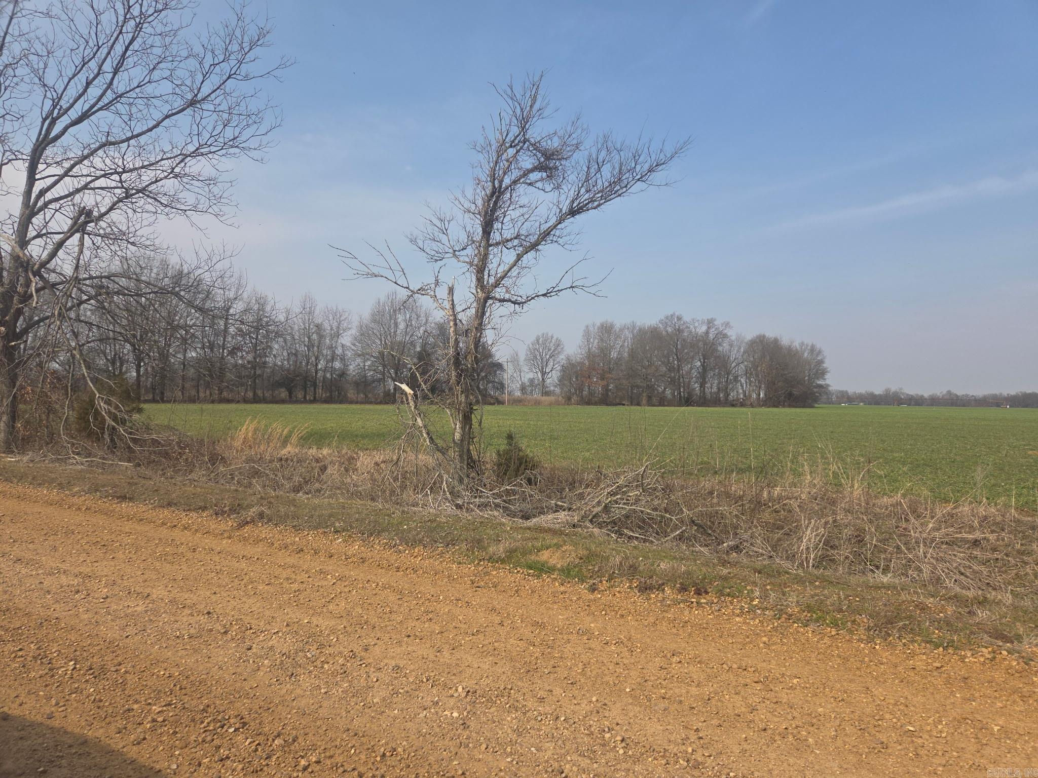 16 Acres Phillips Rd 350