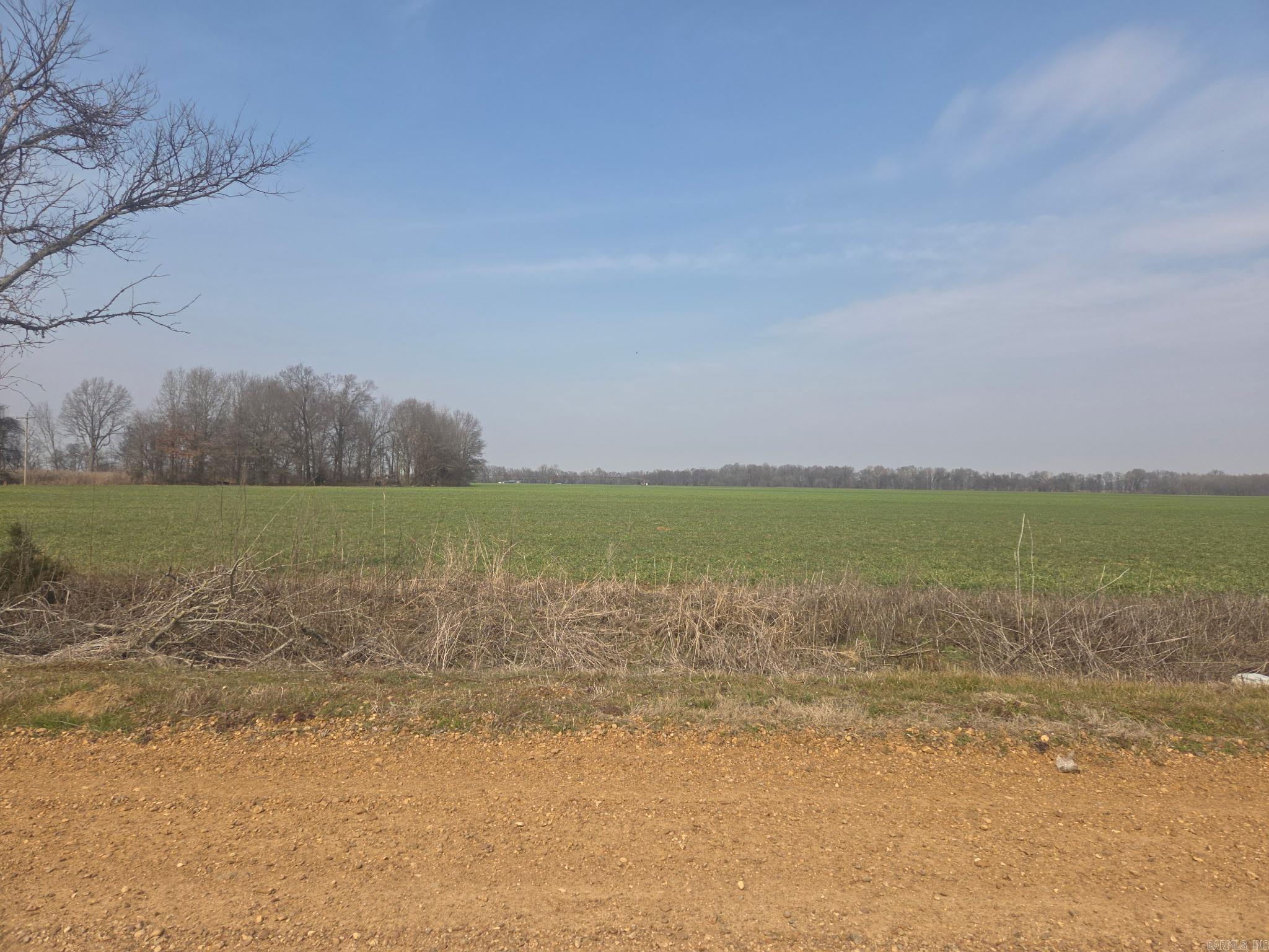 16 Acres Phillips Rd 350