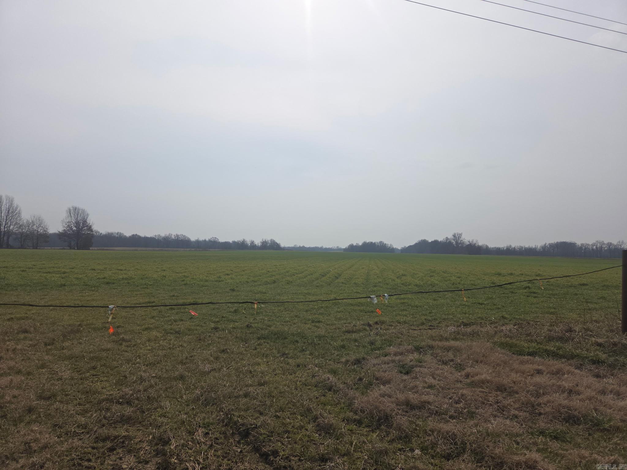 16 Acres Phillips Rd 350