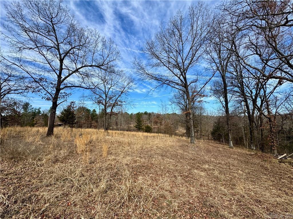 1954 County Road 3259