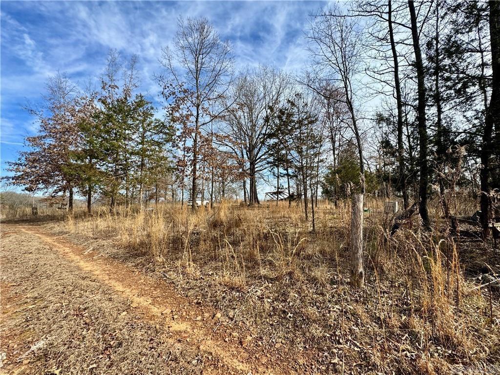 1954 County Road 3259