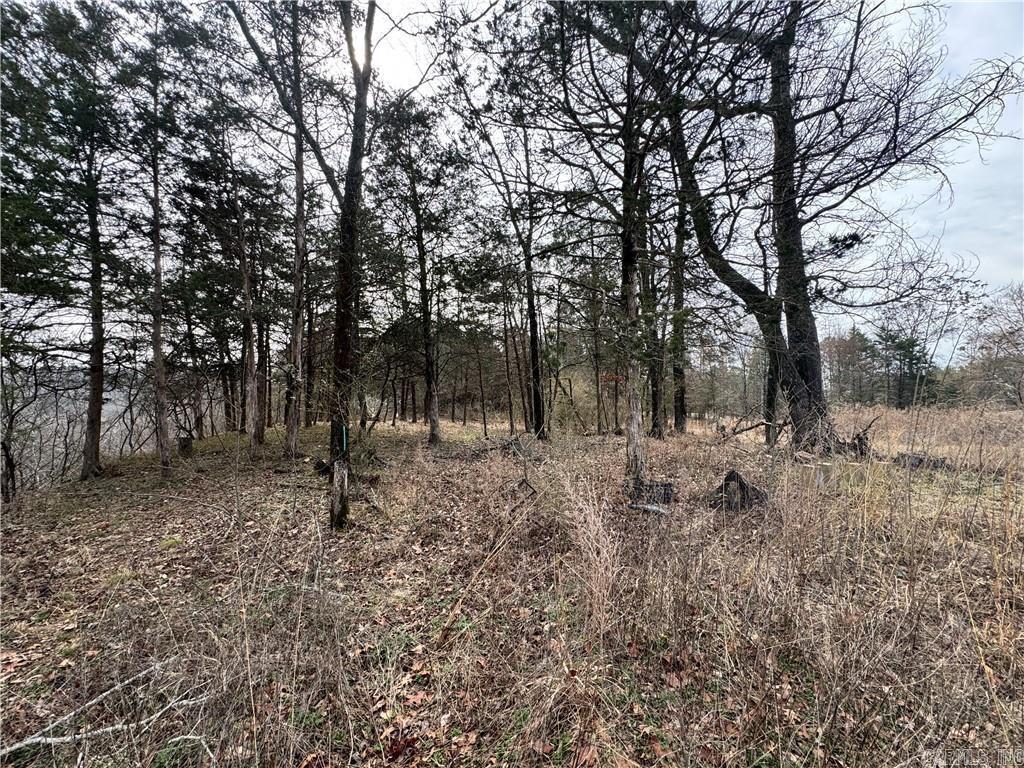 1954 County Road 3259