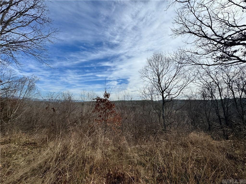 1954 County Road 3259