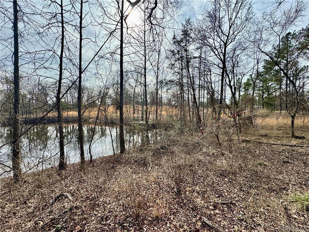 1954 County Road 3259