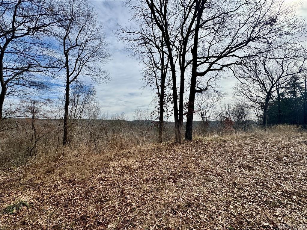 1954 County Road 3259