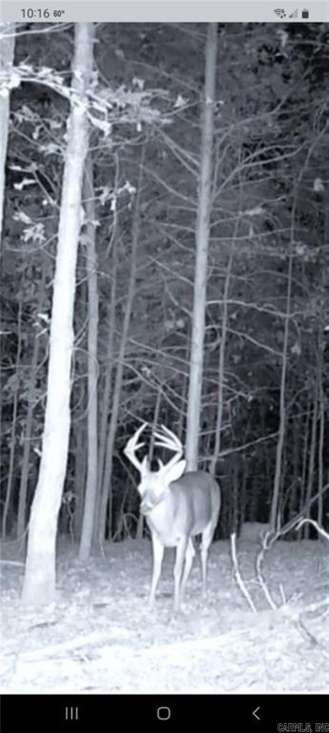 1954 County Road 3259