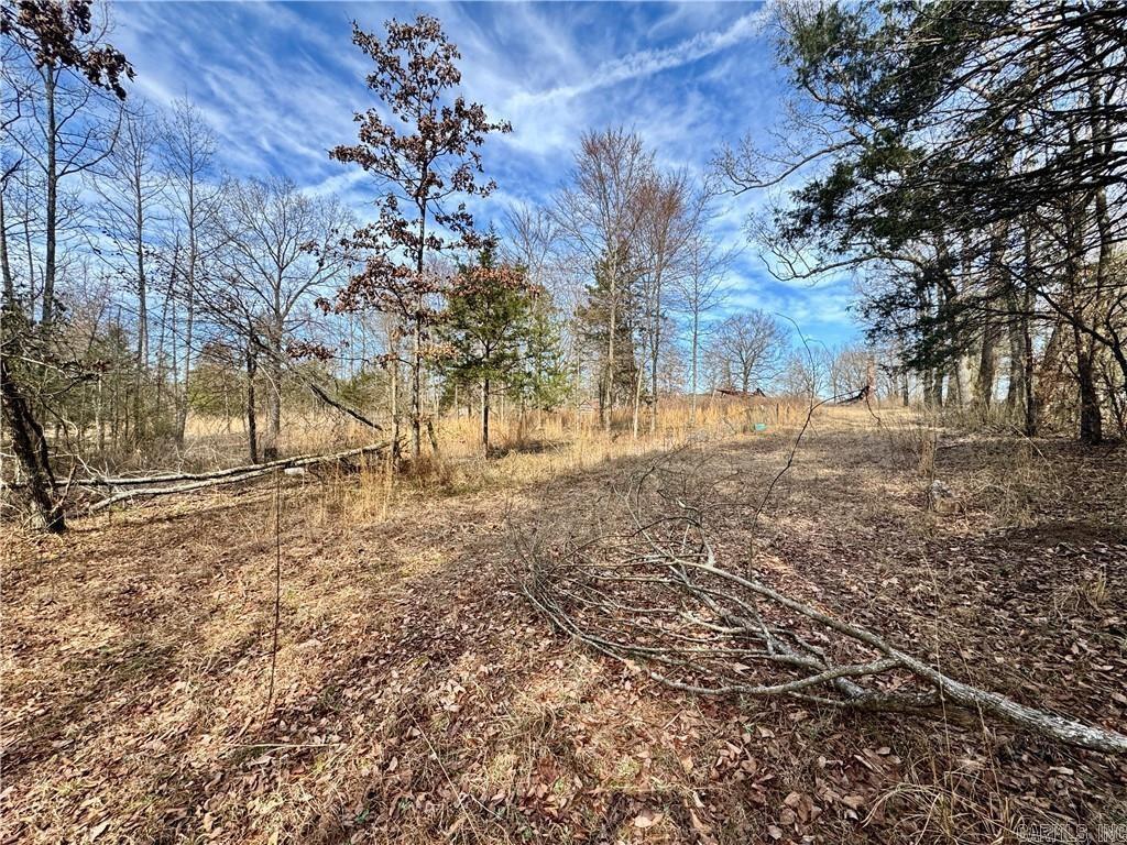 1954 County Road 3259