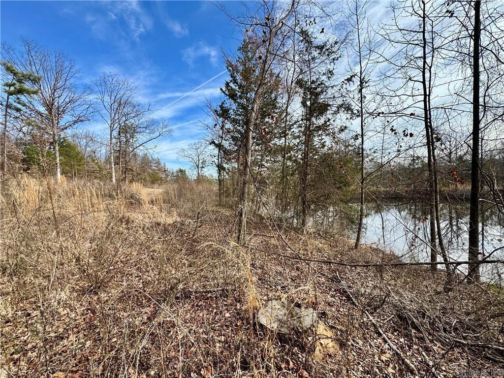 1954 County Road 3259