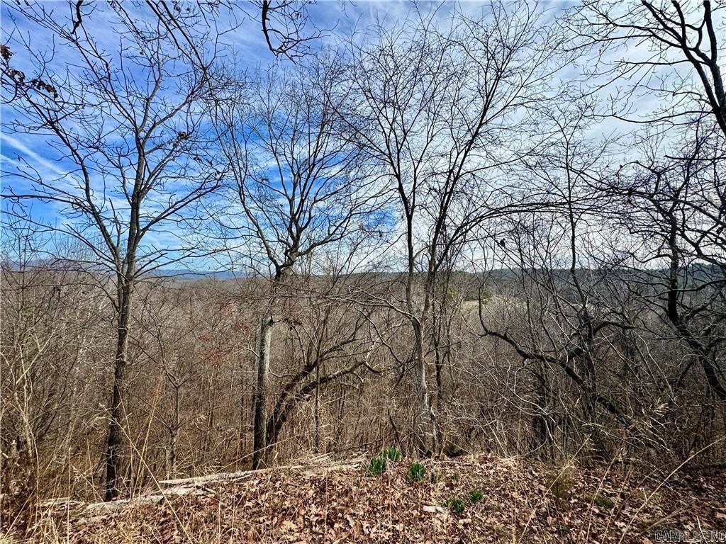 1954 County Road 3259