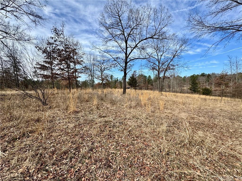 1954 County Road 3259