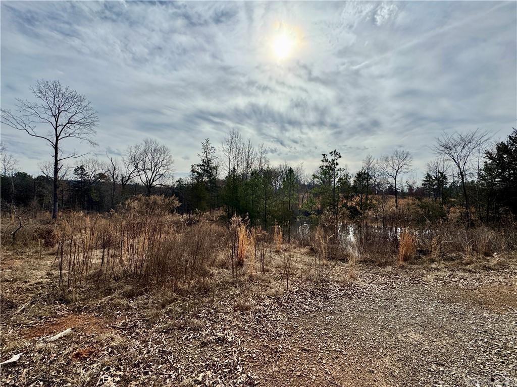 1954 County Road 3259