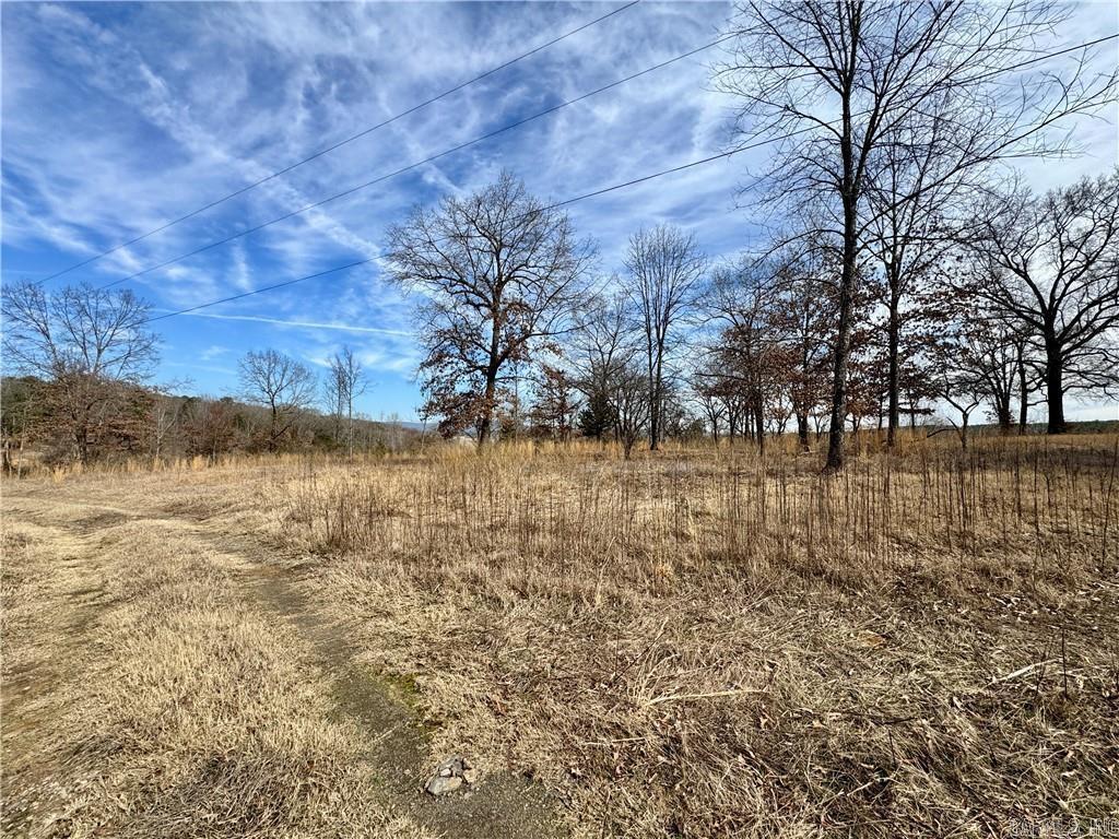 1954 County Road 3259