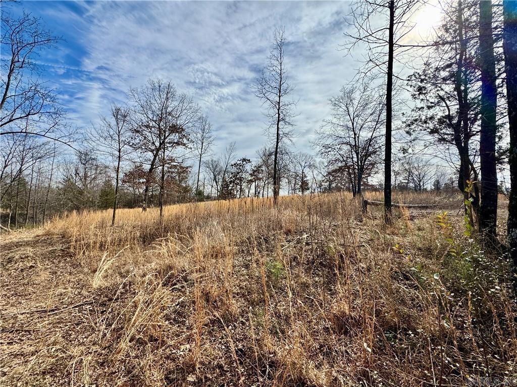 1954 County Road 3259