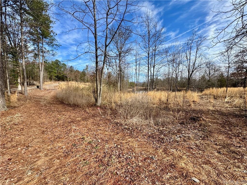 1954 County Road 3259