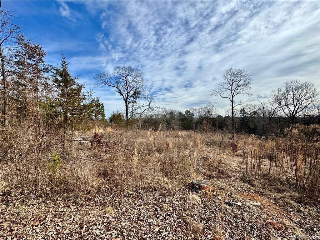 1954 County Road 3259