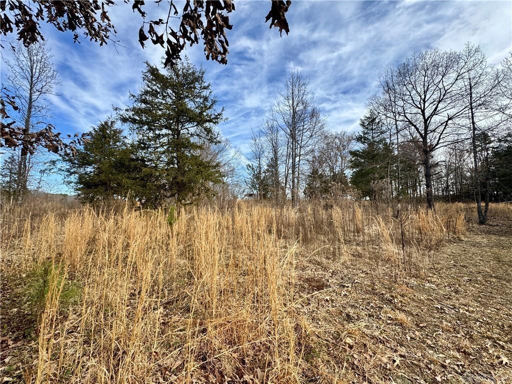 1954 County Road 3259