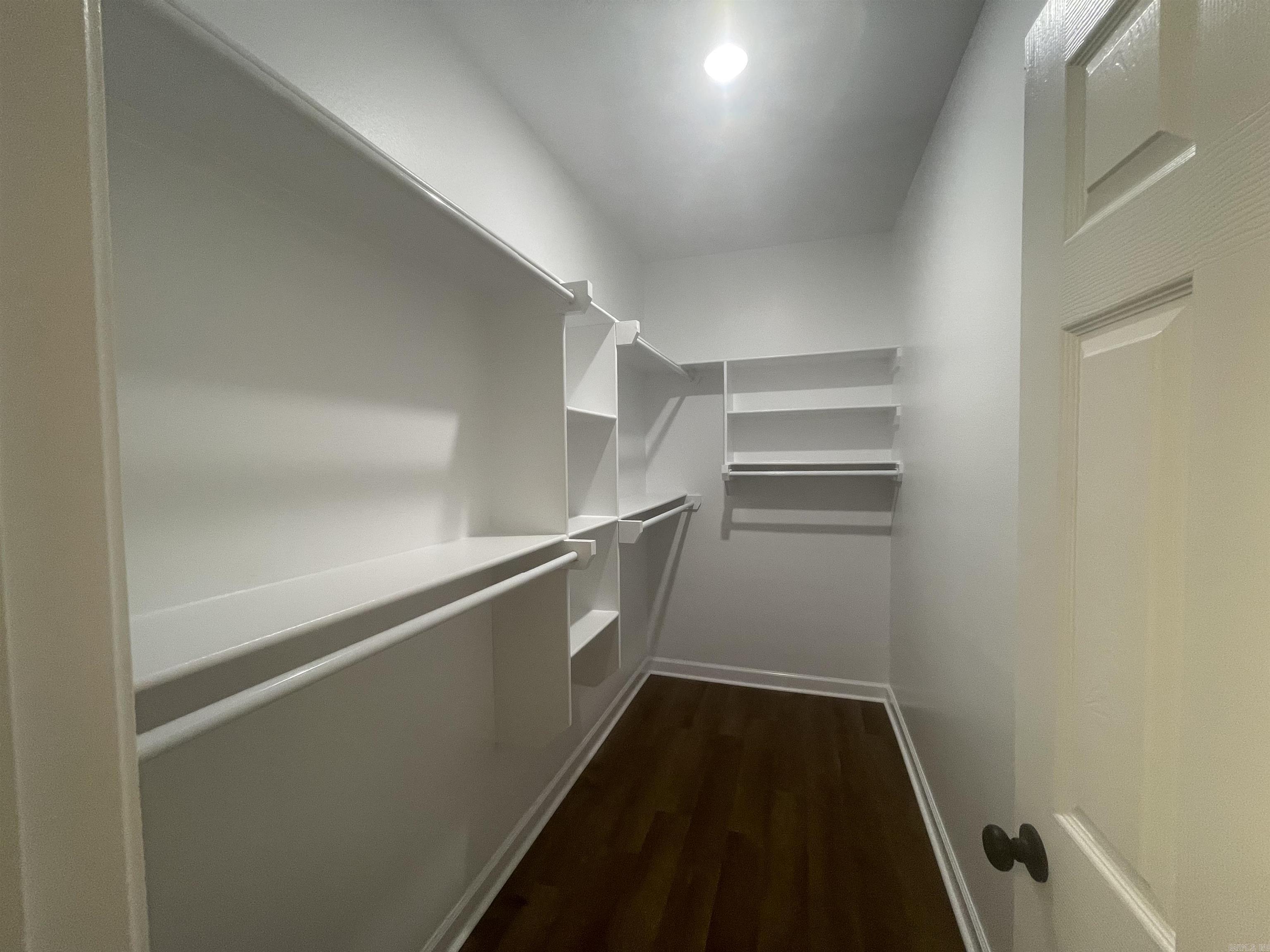 66 Springtree