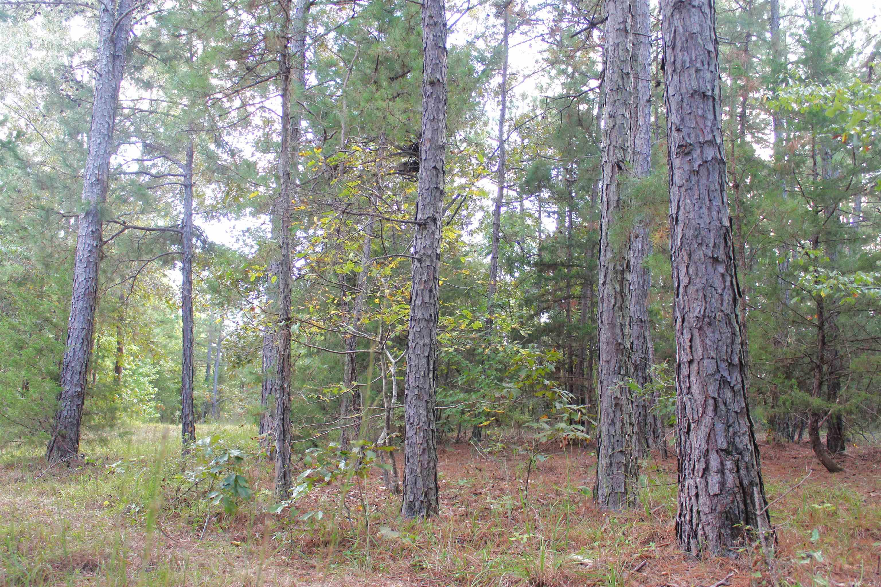 623 Batesville Mountain Road