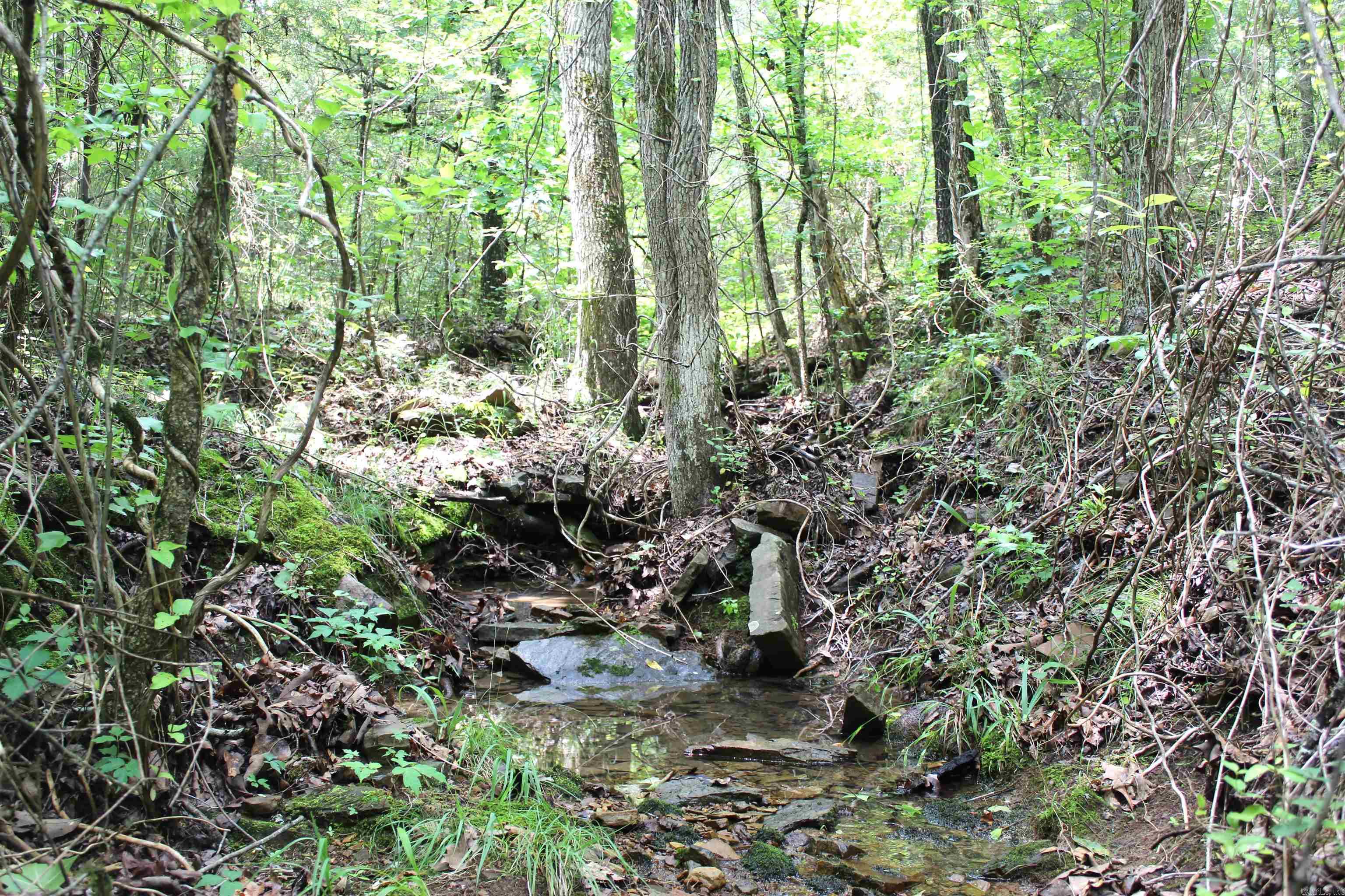 623 Batesville Mountain Road