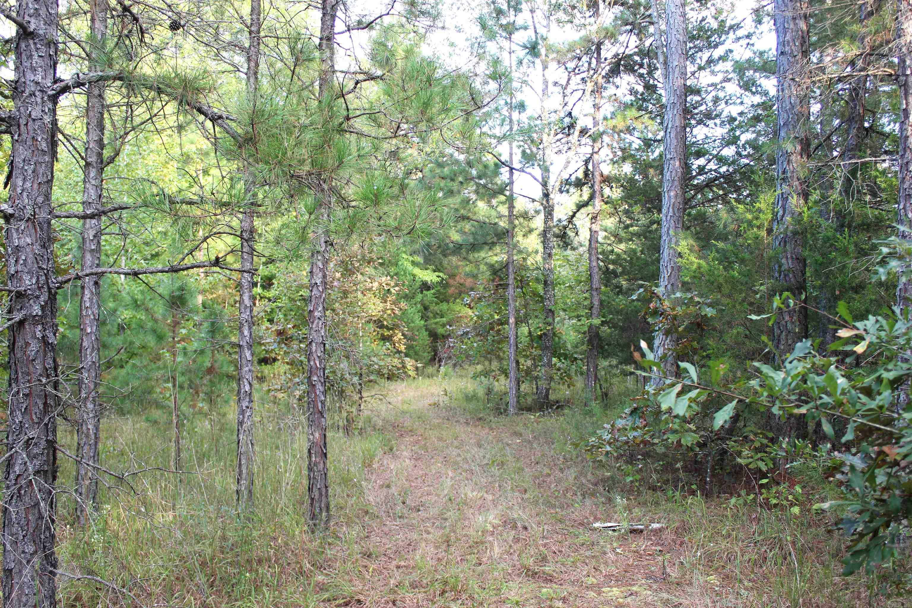 623 Batesville Mountain Road