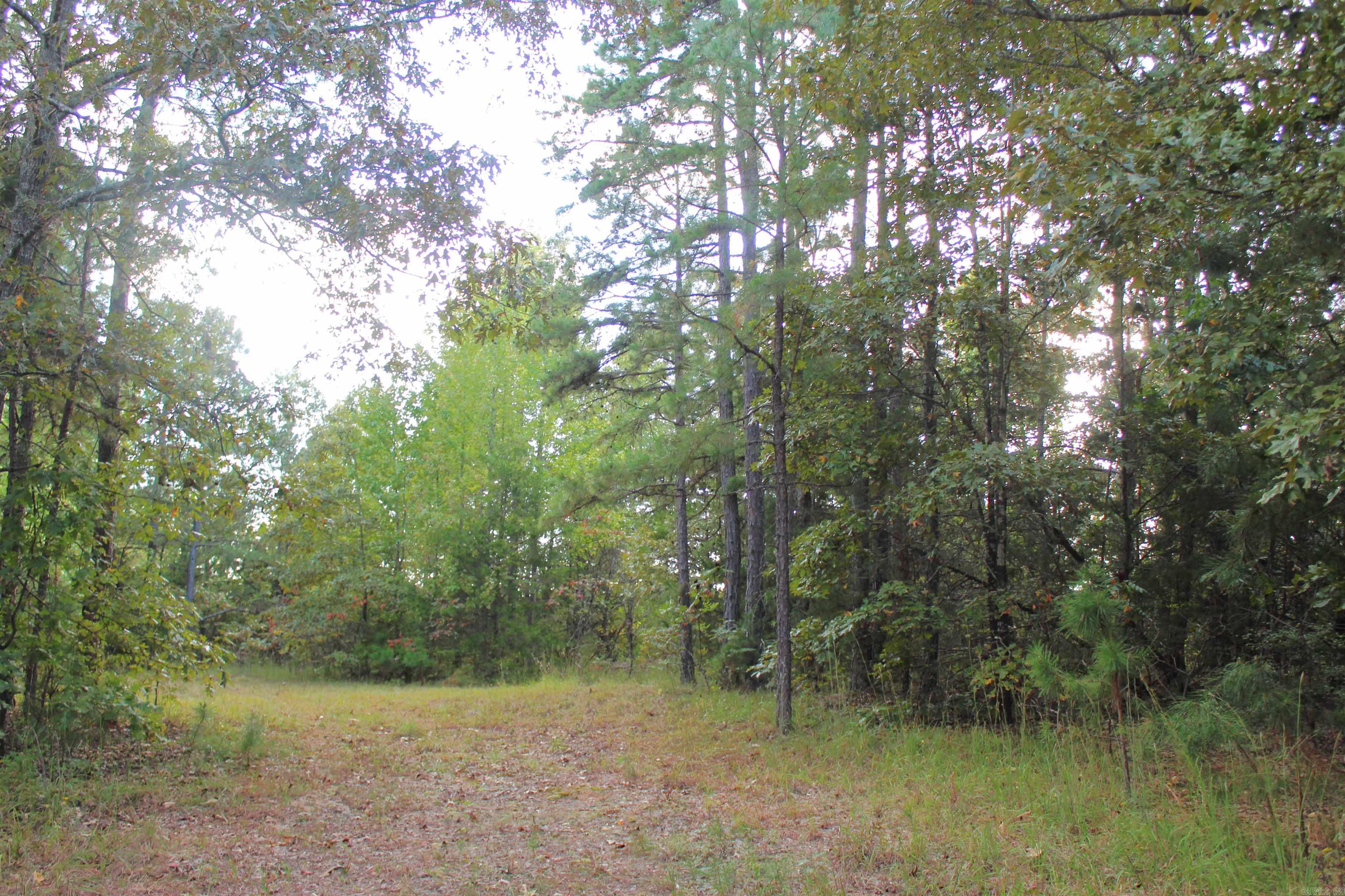 623 Batesville Mountain Road