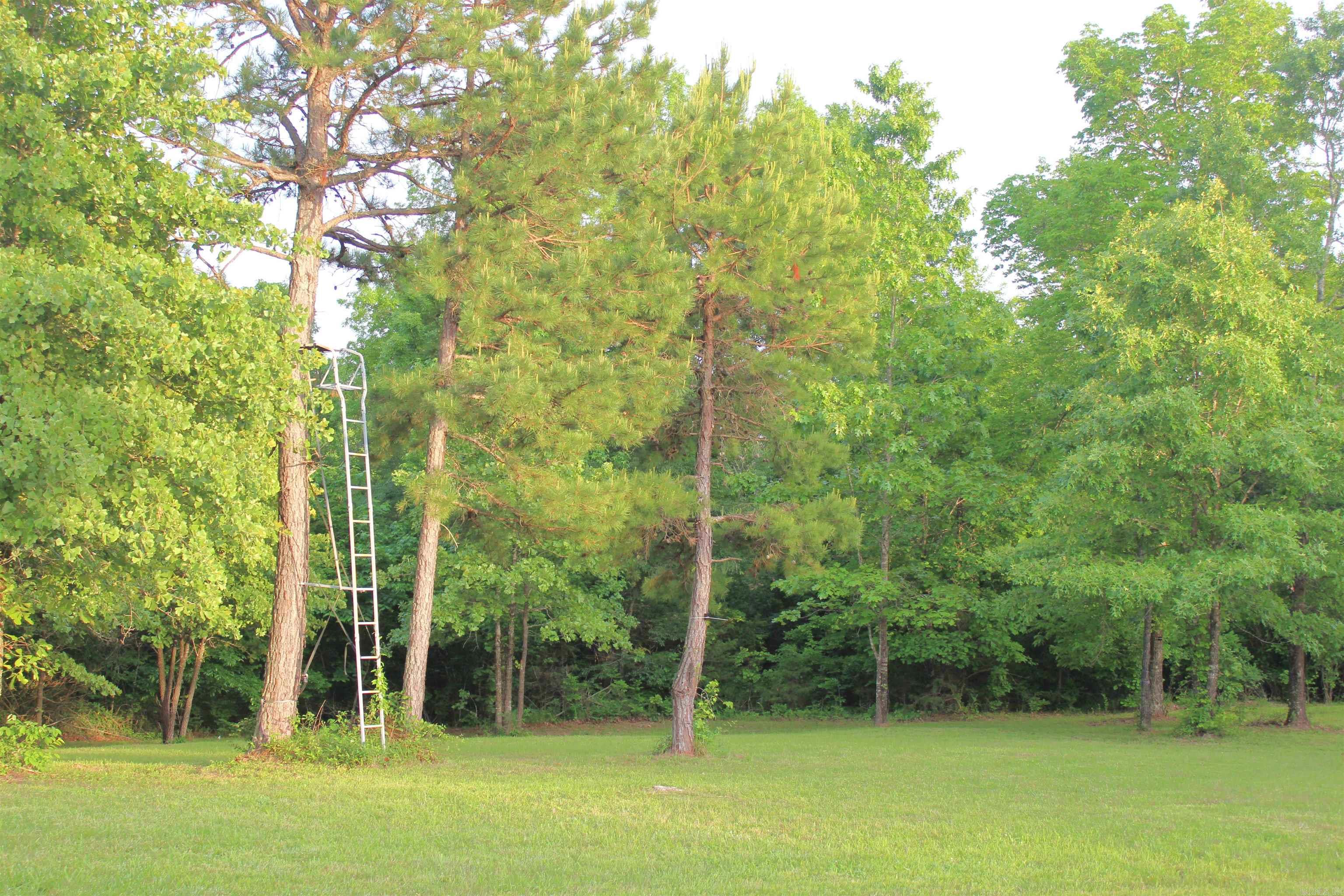 623 Batesville Mountain Road