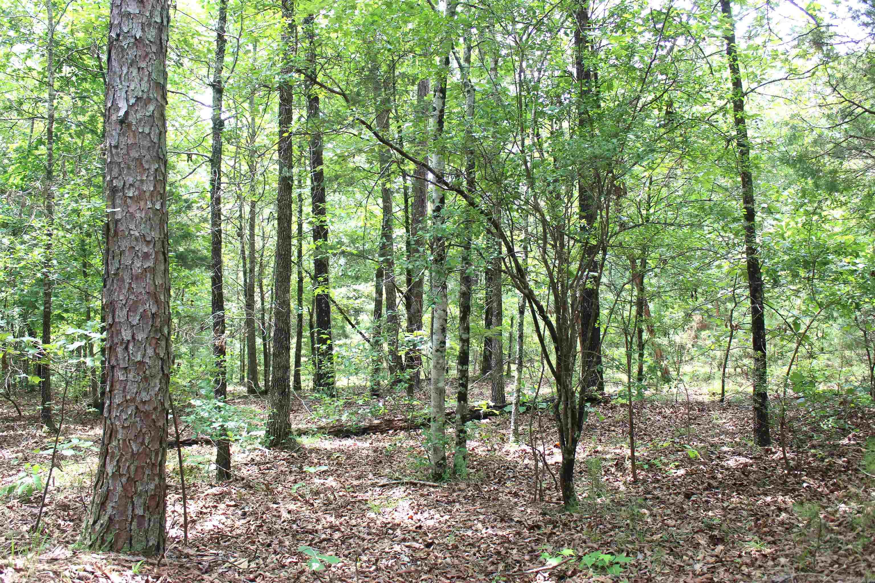 623 Batesville Mountain Road