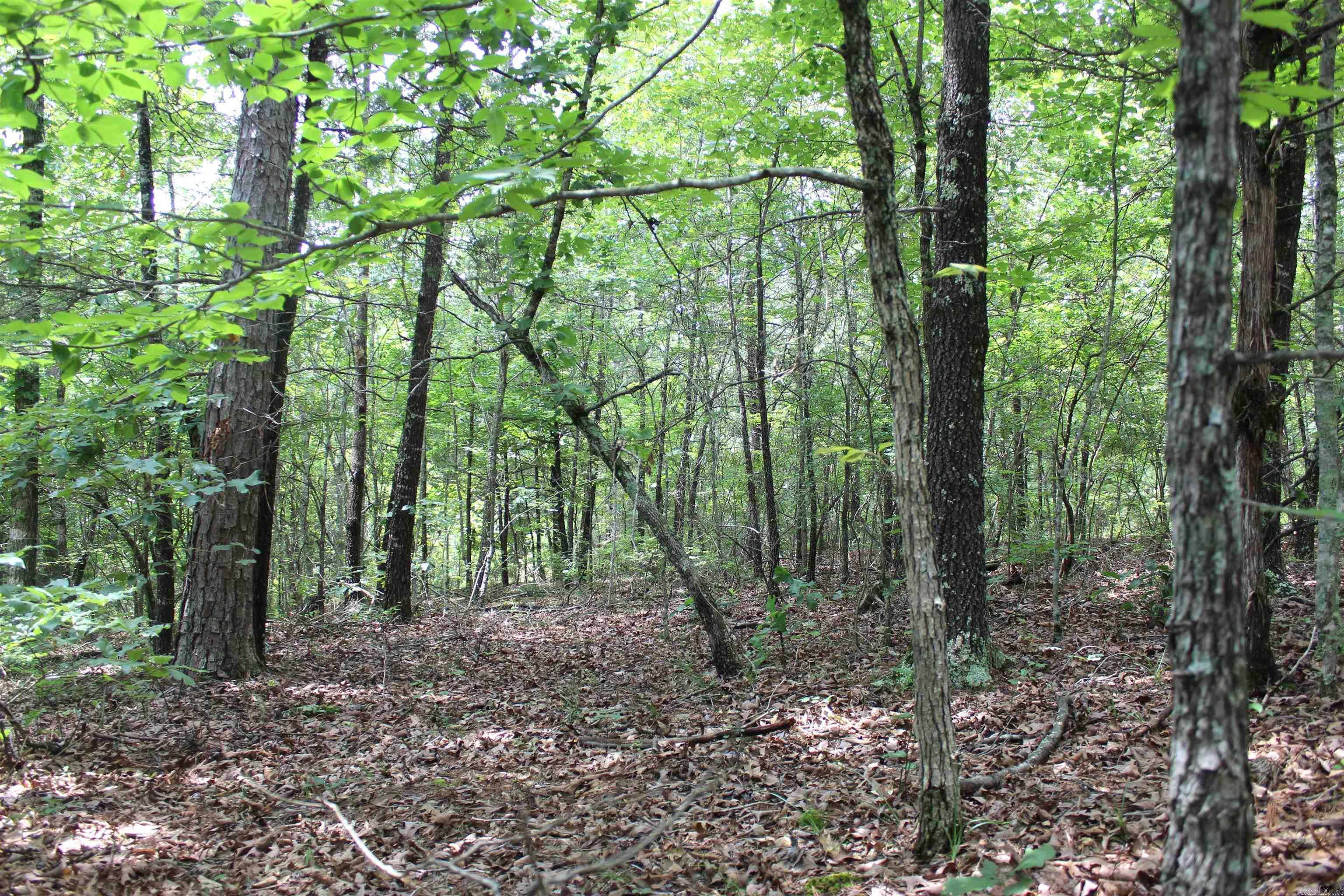 623 Batesville Mountain Road