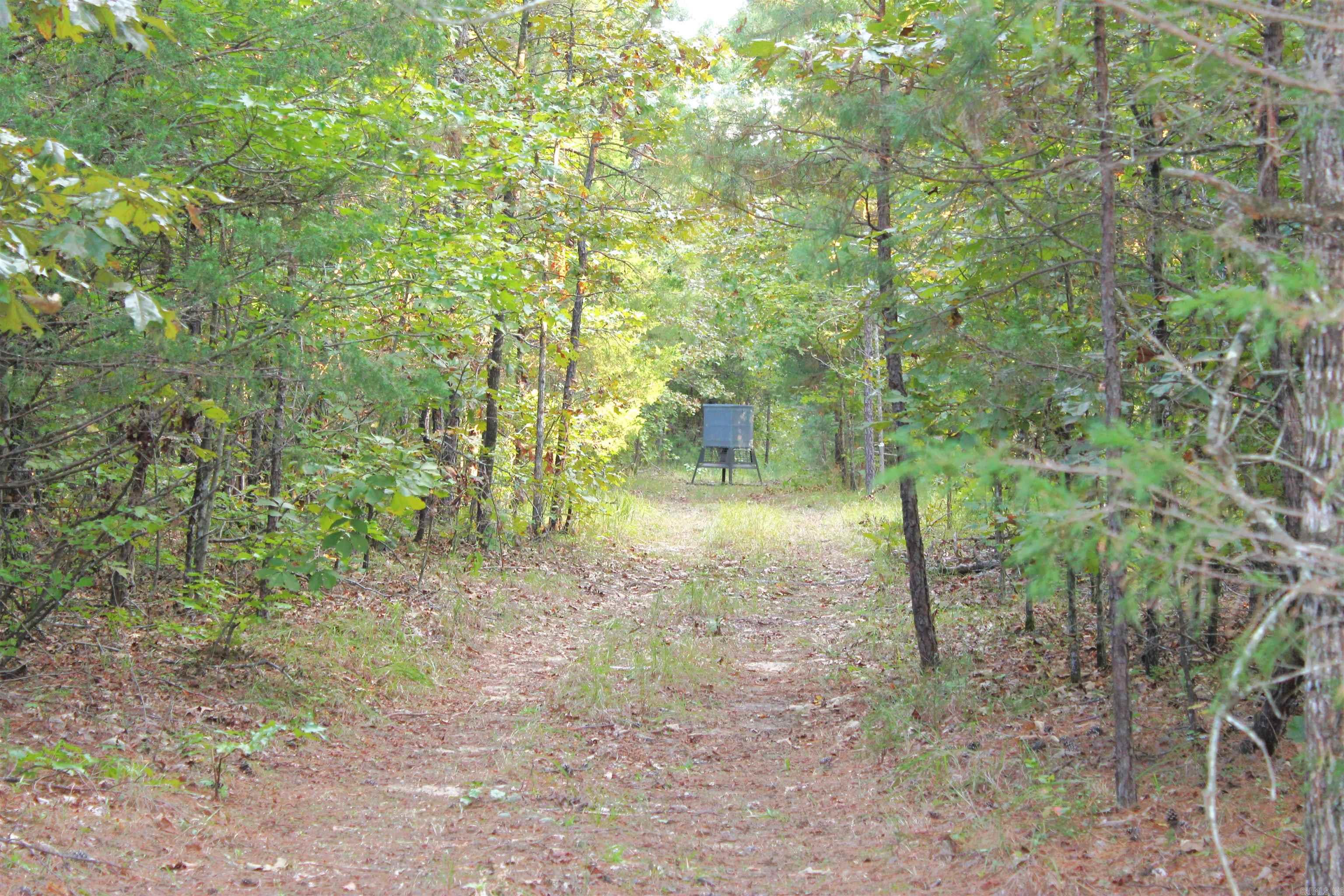 623 Batesville Mountain Road