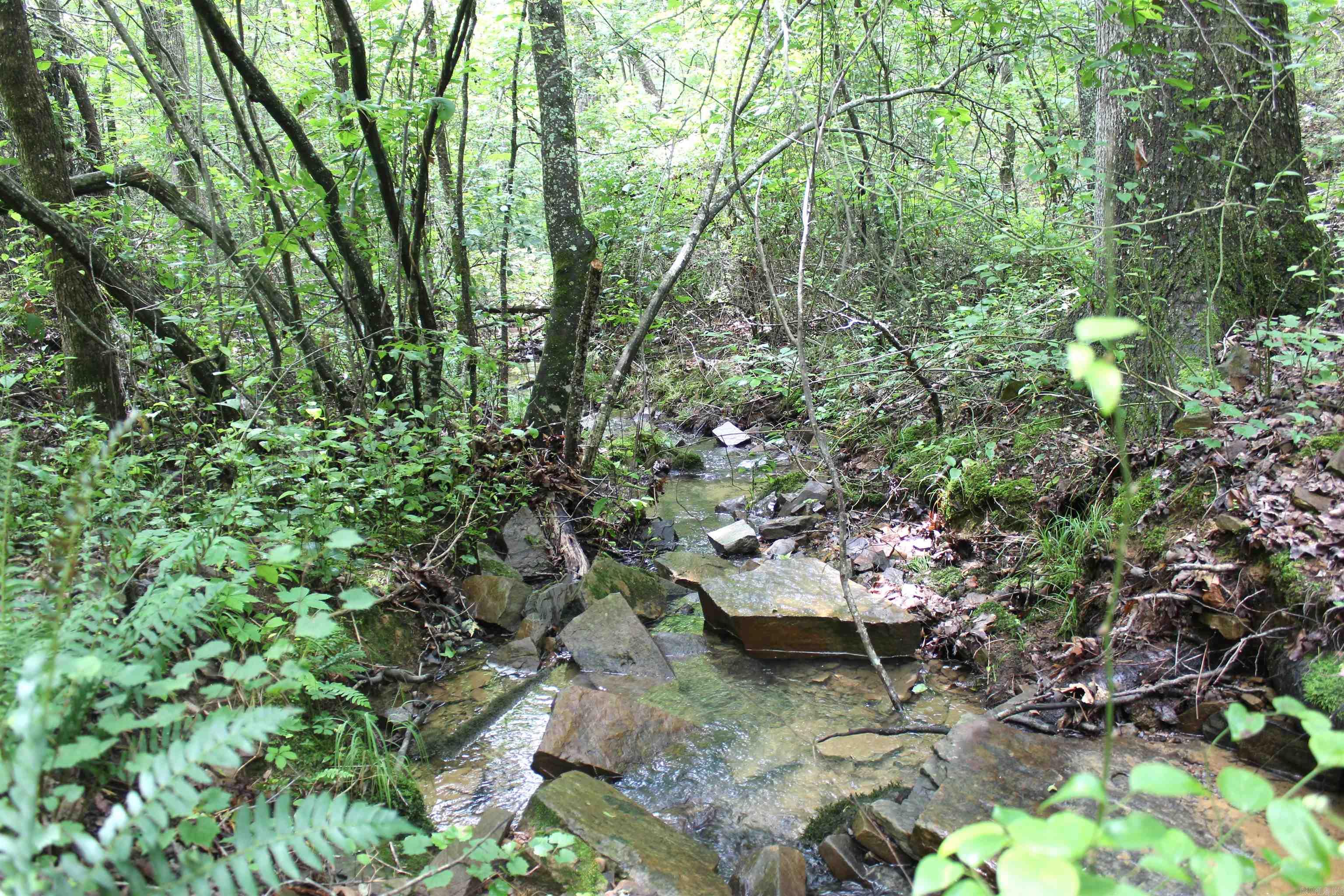 623 Batesville Mountain Road