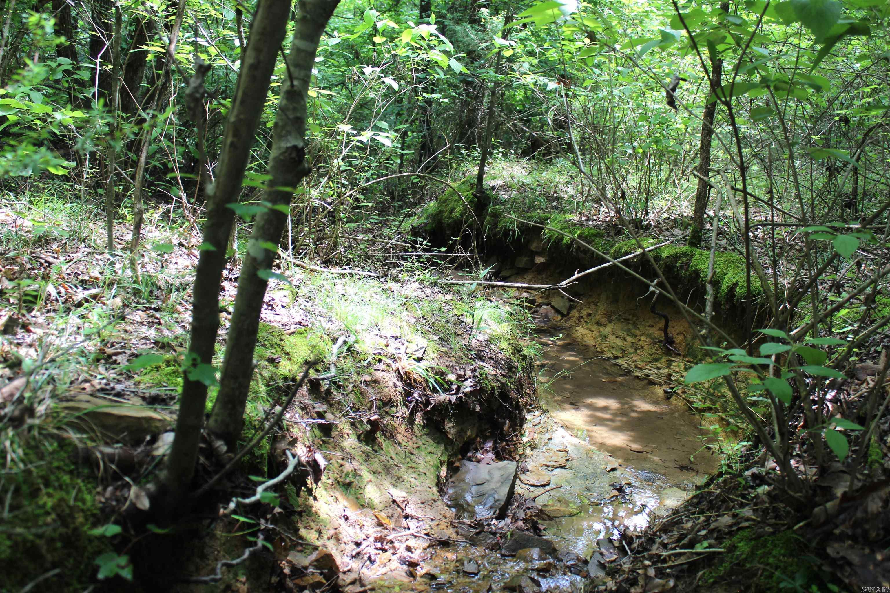 623 Batesville Mountain Road