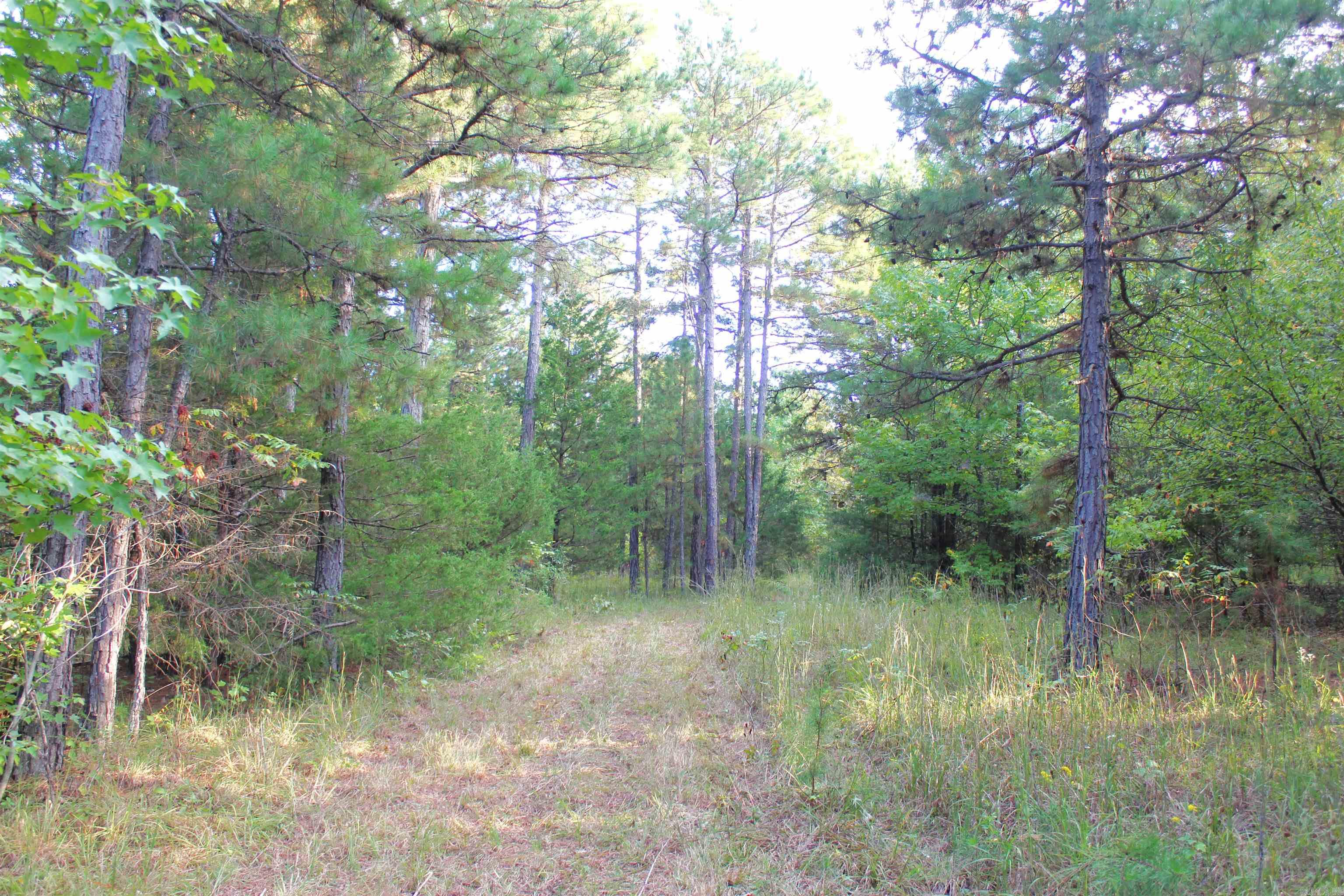 623 Batesville Mountain Road