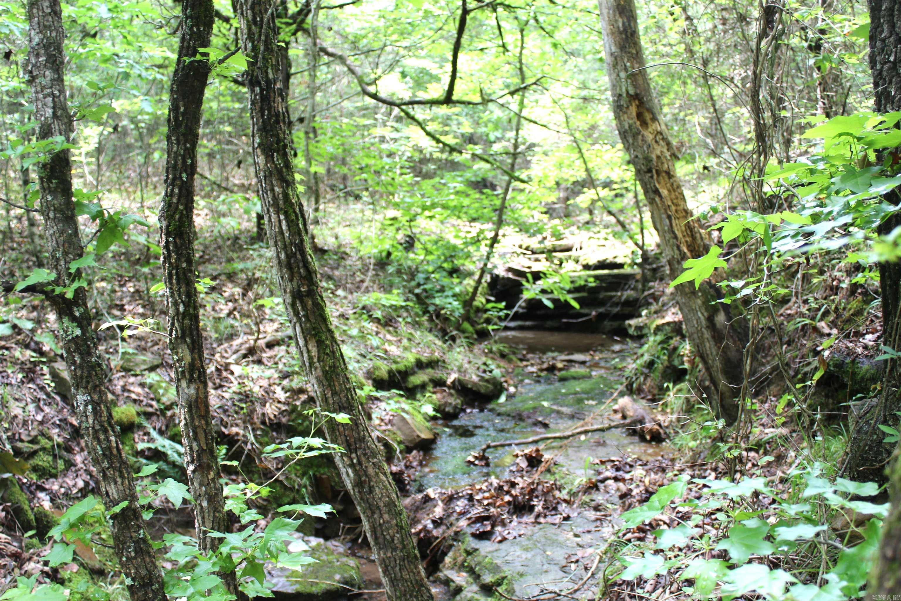 623 Batesville Mountain Road