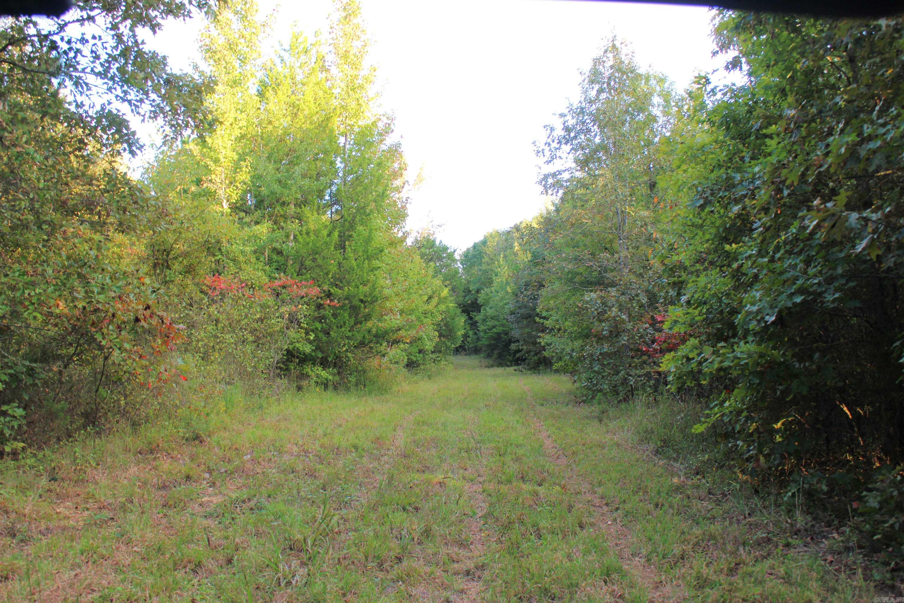 623 Batesville Mountain Road