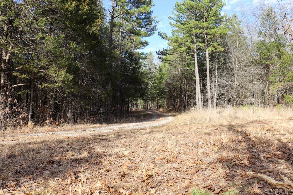 9238 Elizabeth Road