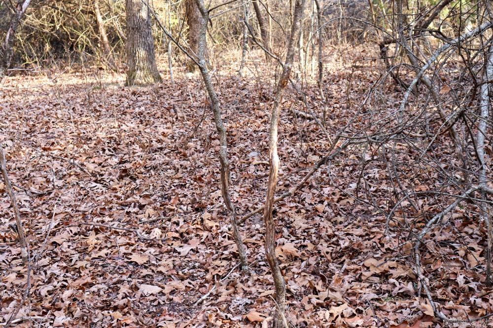 9238 Elizabeth Road