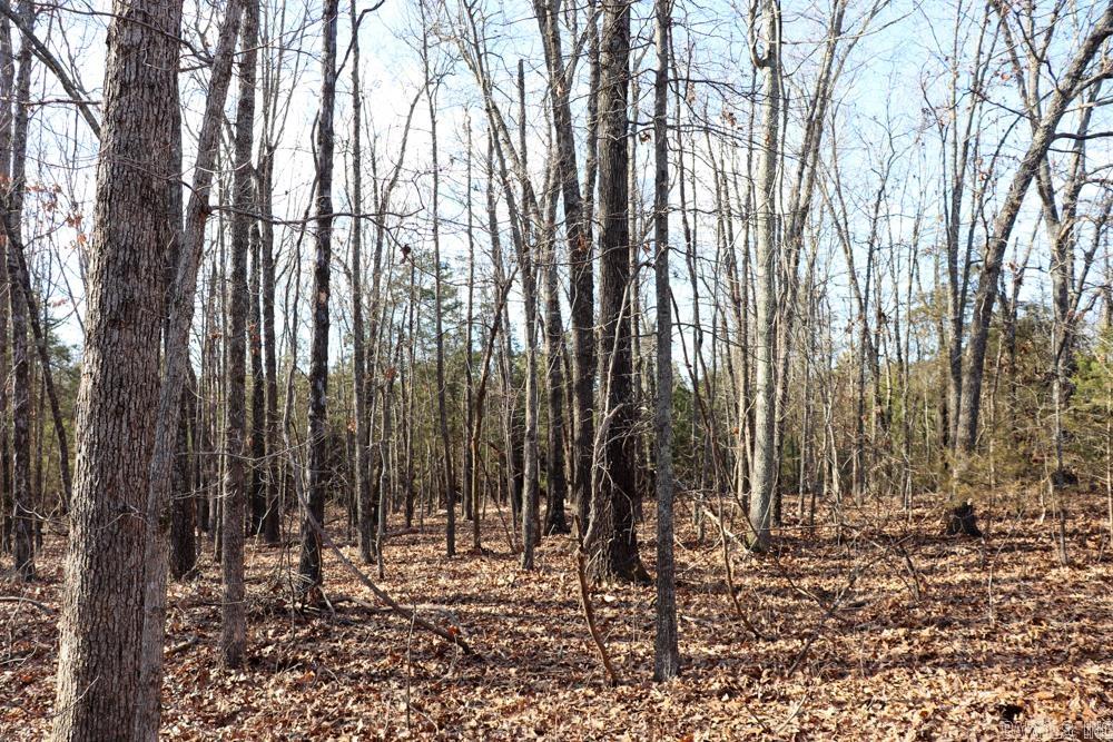 9238 Elizabeth Road