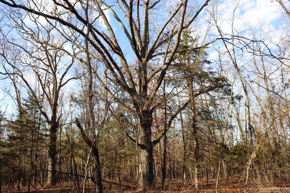 9238 Elizabeth Road