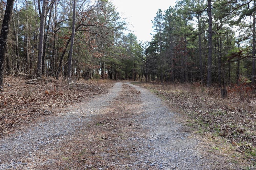 9238 Elizabeth Road