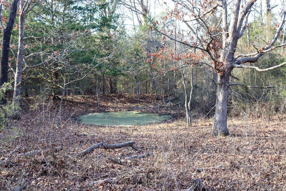 9238 Elizabeth Road