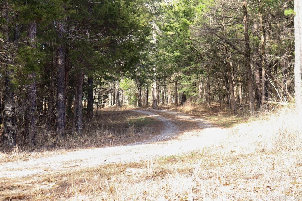 9238 Elizabeth Road