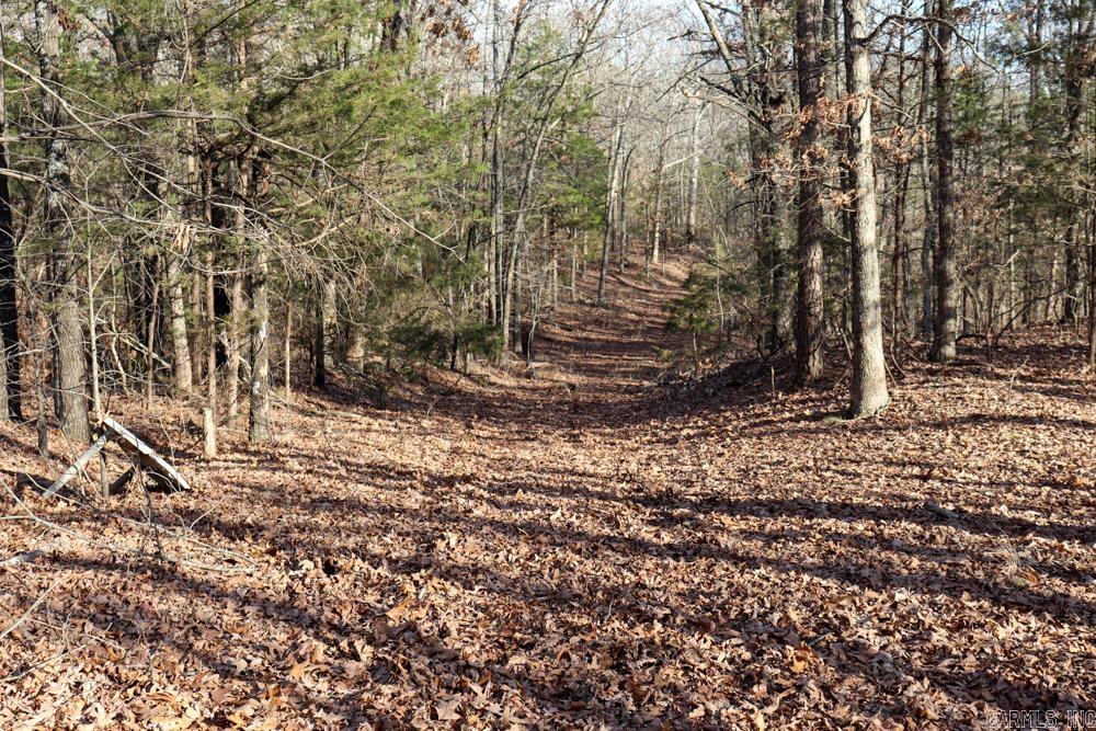 9238 Elizabeth Road