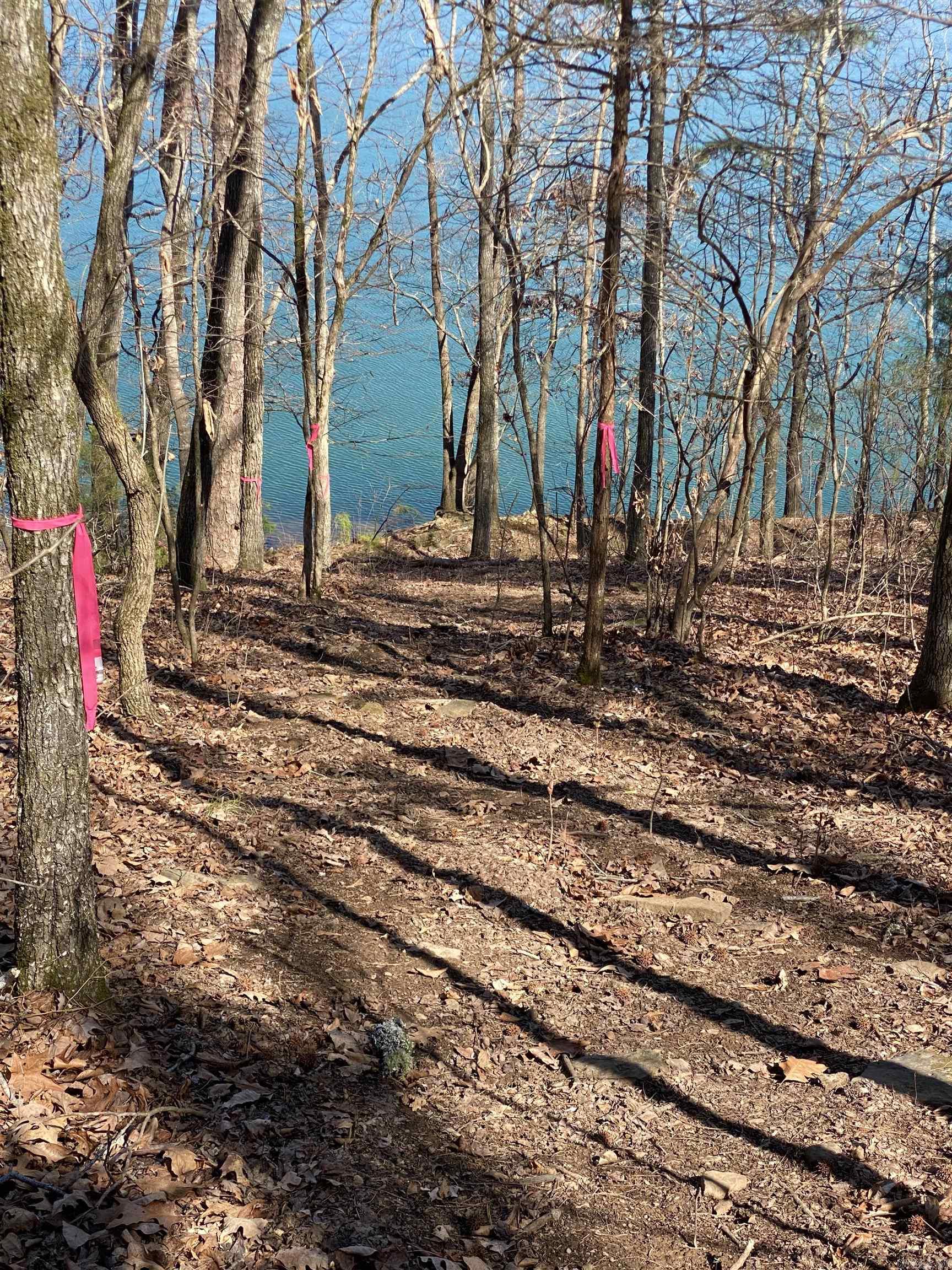 349 The Bluffs Drive