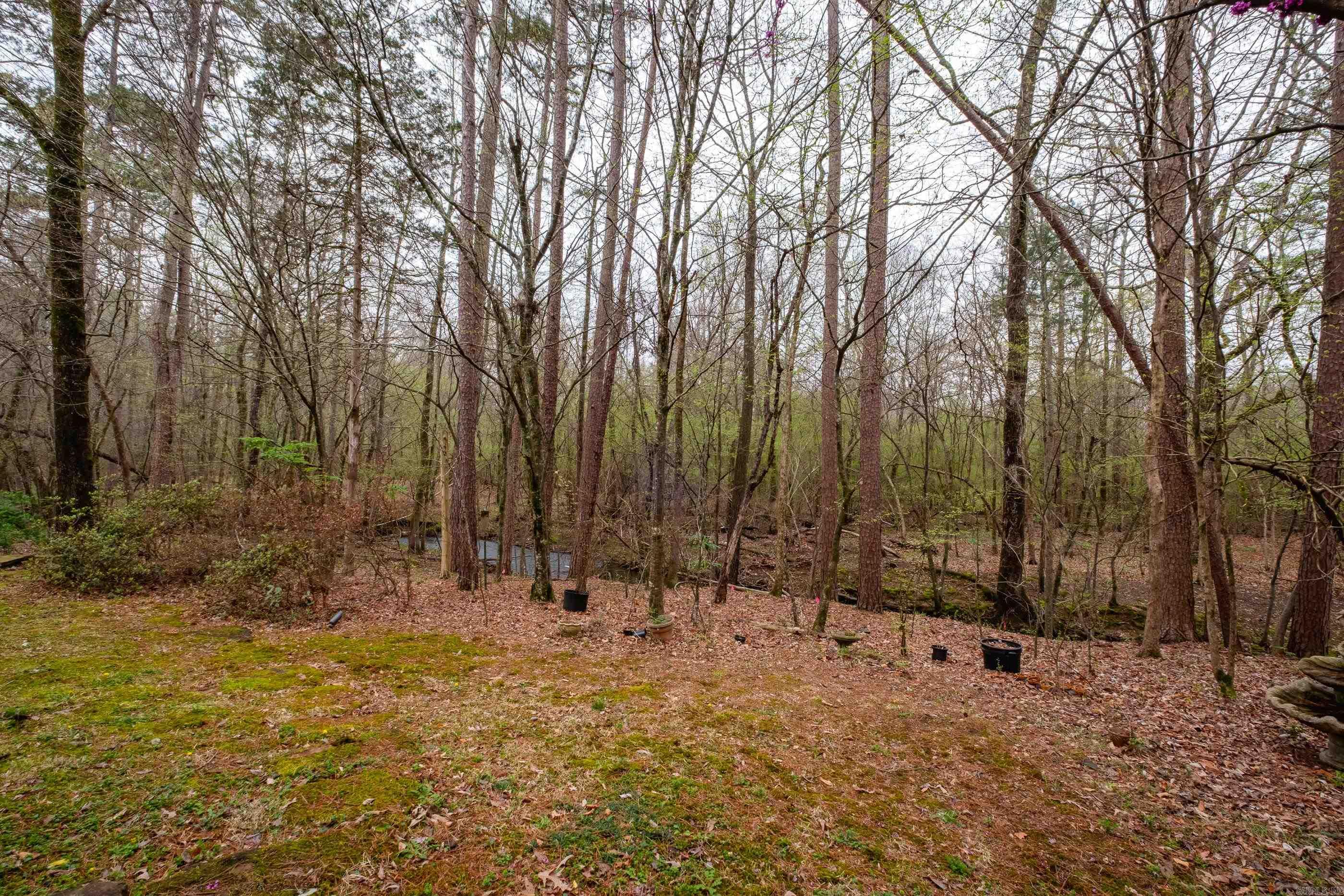 12725 Meadows Edge