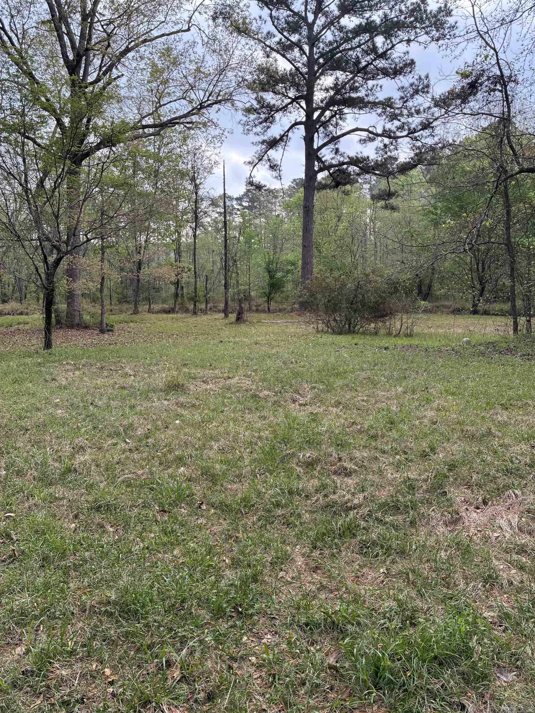 365 Ouachita 312