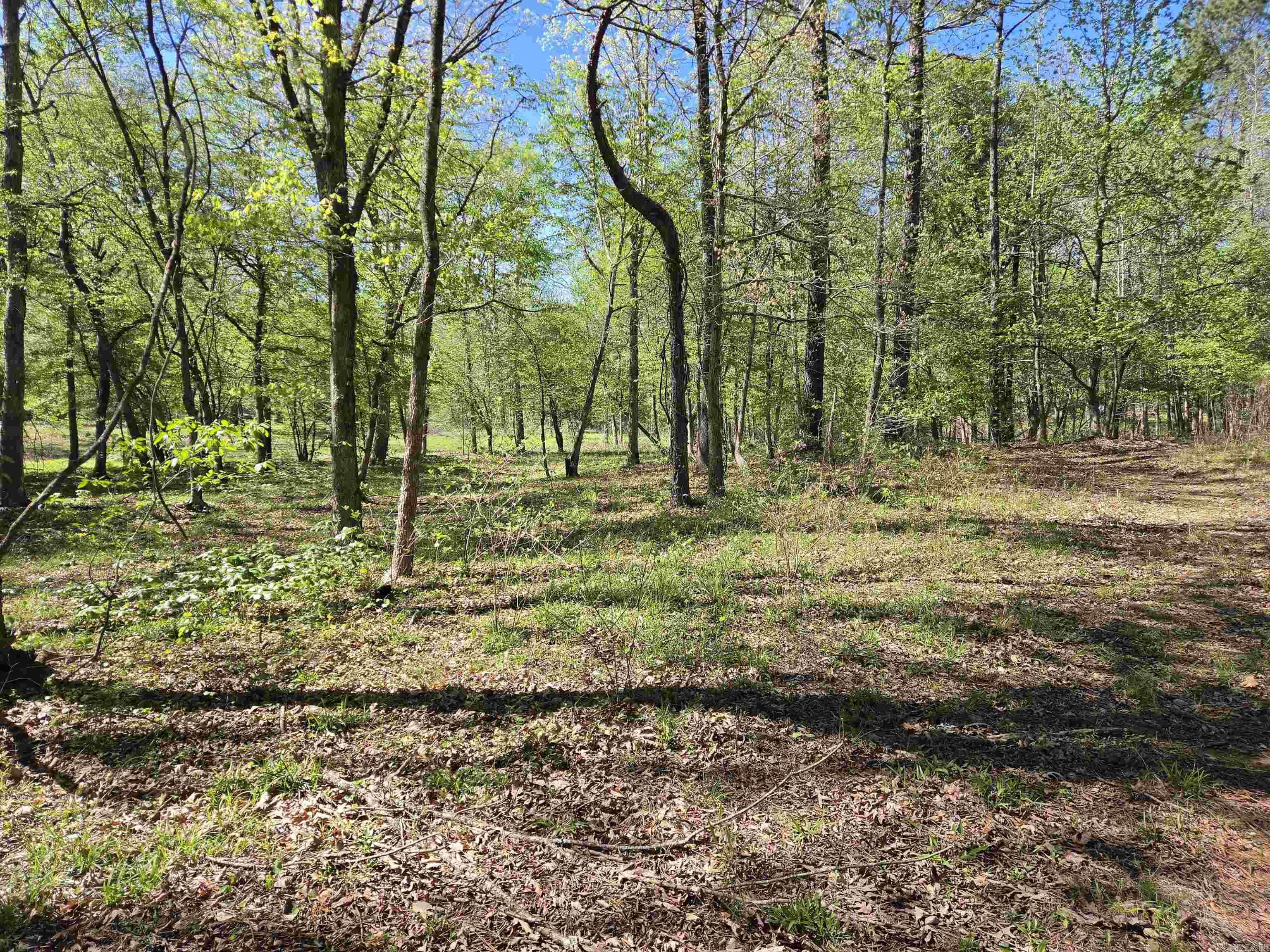 5 Acres of 2926 Bauxite Cutoff Road