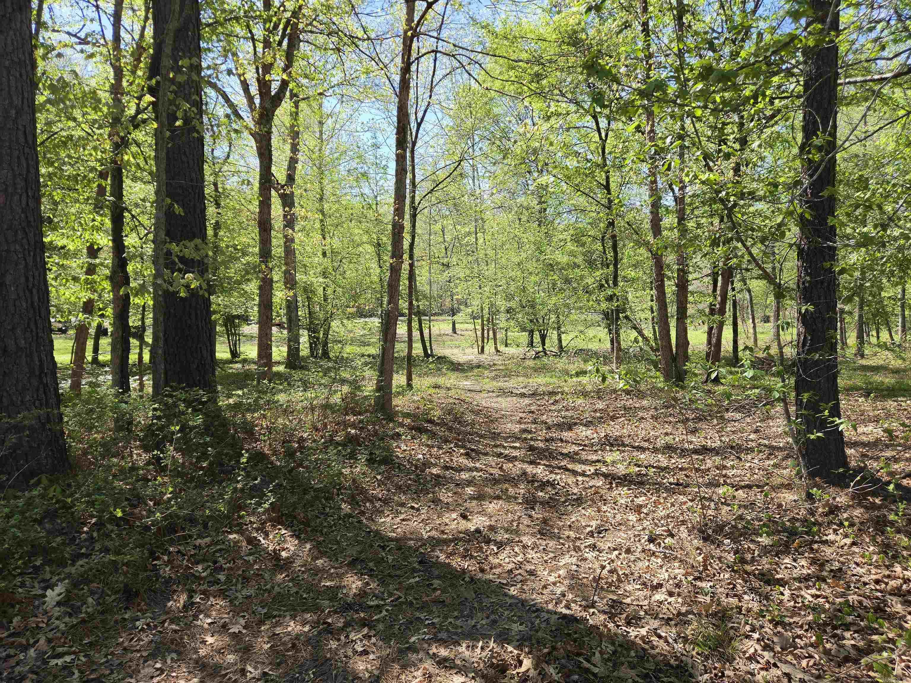 5 Acres of 2926 Bauxite Cutoff Road