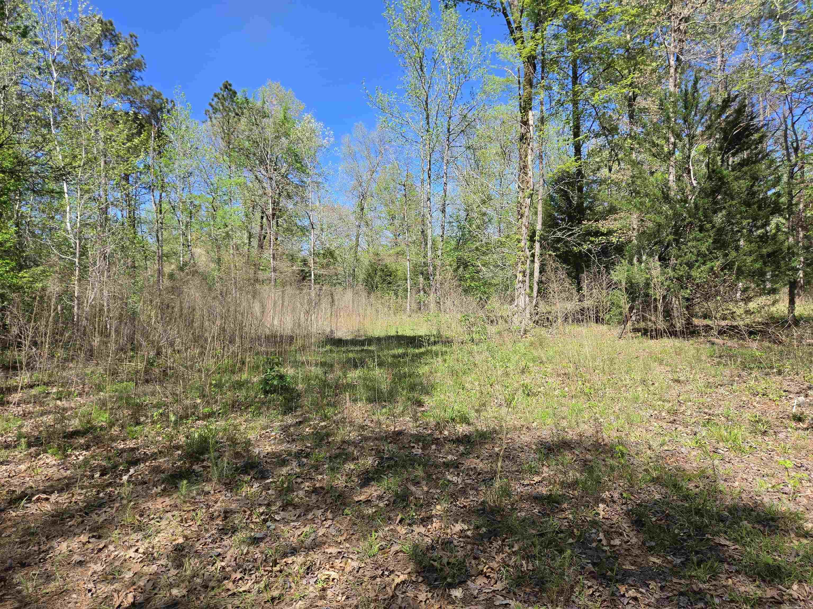5 Acres of 2926 Bauxite Cutoff Road