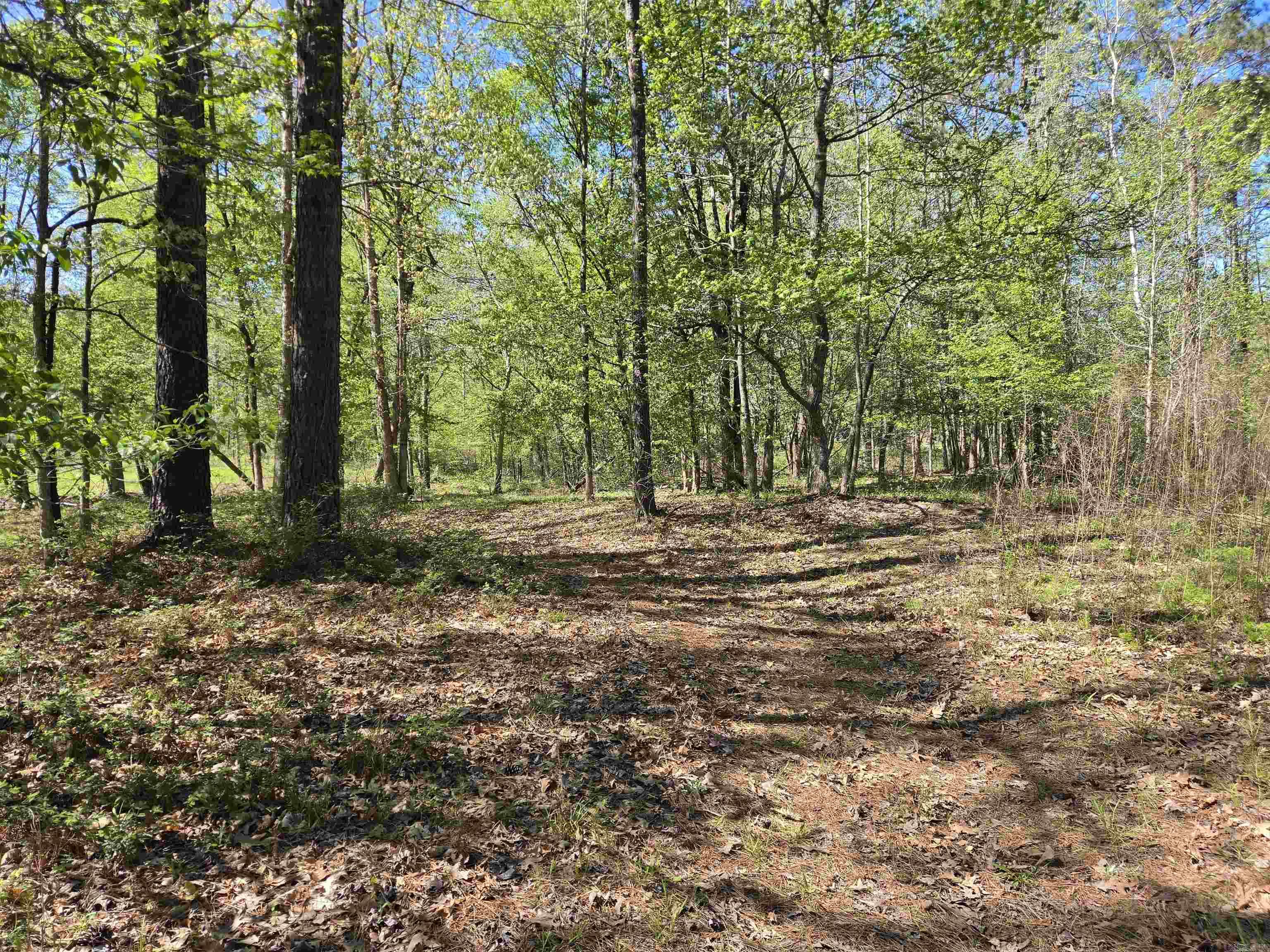 5 Acres of 2926 Bauxite Cutoff Road